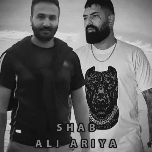علی آریا شب