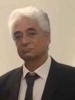 محمود حاتمی هوليقی